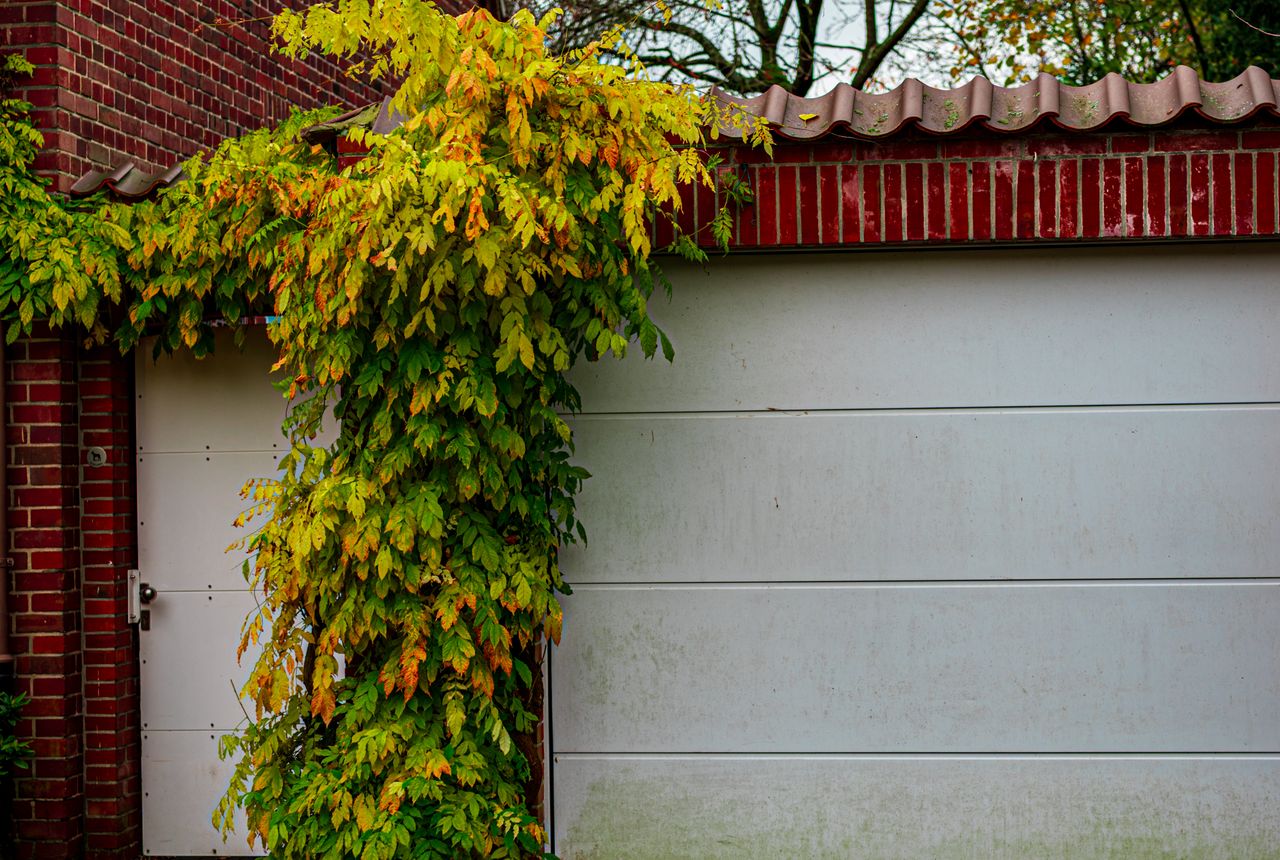 Garage door service in Bonita Springs, FL